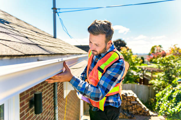 Best Roof Moss and Algae Removal  in Alpine, NJ